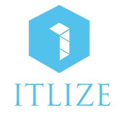Itlize Global LLC logo