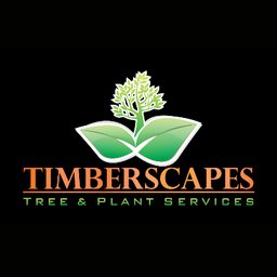 Timberscapes
