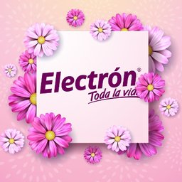 AGUA ELECTRON