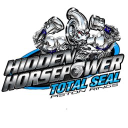 Total Seal Piston Rings