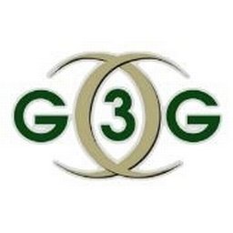 The Gemini 3 Group, Inc. logo