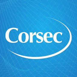 Corsec Security jobs