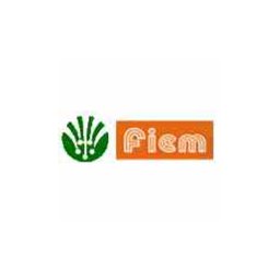 fiem industries ltd logo