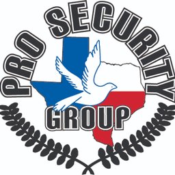Pro Security Group, Inc. logo