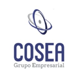 GRUPO EMPRESARIAL COSEA