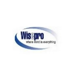 Wisetek Providers, Inc logo
