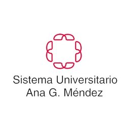 Ana G. Mendez Logo