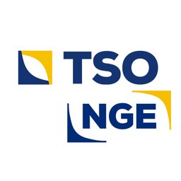 TSO-NGE México