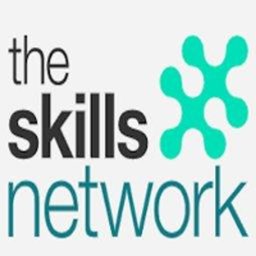 The Skills Network