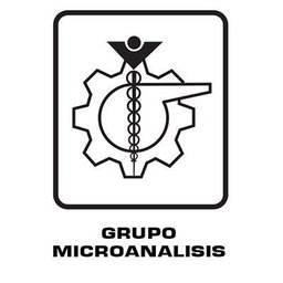 GRUPO MICROANALISIS