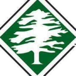 Arbor Masters Tree logo