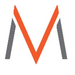 Virtuous Management Group logo