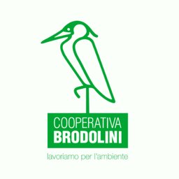 Coop G. Brodolini Logo
