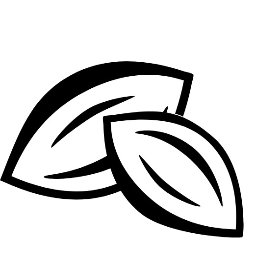 Pecan Solutions Inc. logo