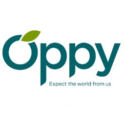 The Oppenheimer Group