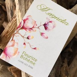 Magnolia fleuriste