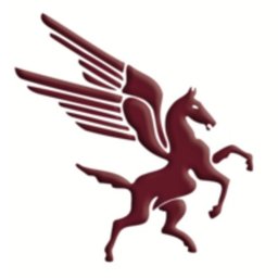 Pegasus Building Services logo