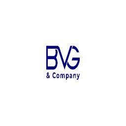 BVG and Company logo