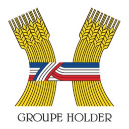 GROUPE HOLDER - Logo
