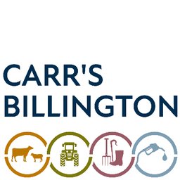 companyLogo