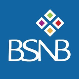 Ballston Spa National Bank logo