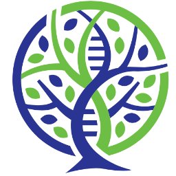 Evexias Health Solutions logo