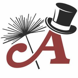 Anderson's Chimney & Masonry Services logo