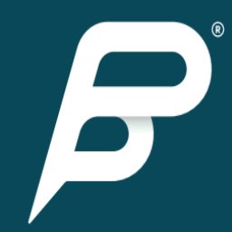 Peter Park System GmbH logo