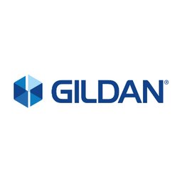 Gildan review