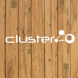 Cluster die Sozialagentur e. K. Logo