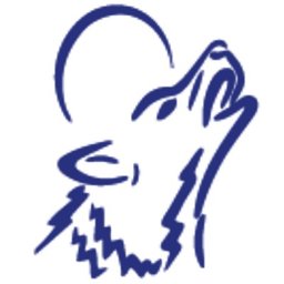 Wolf River Community Bank logo