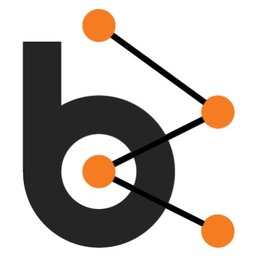 BlueBash Consulting Pvt. Ltd. logo