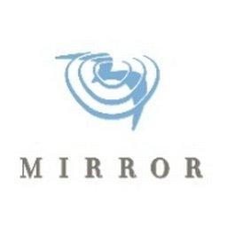 Mirror Inc