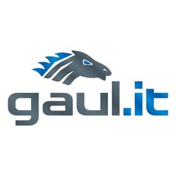 GAUL.IT Logo