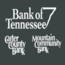 BANK OF TENNESSEE logo