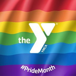Duluth Area YMCA logo