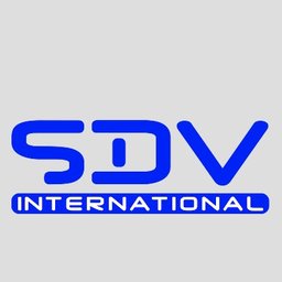 SDV International jobs