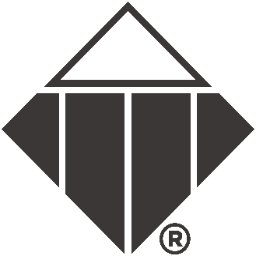 TTI Success Insights - Logo