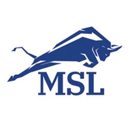 Law Offices of Michael S. Lamonsoff logo
