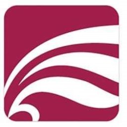CLINCH VALLEY HEALTH logo