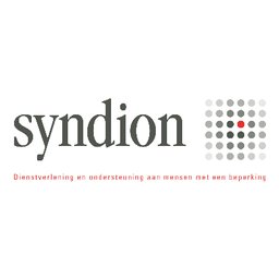Syndion Logo