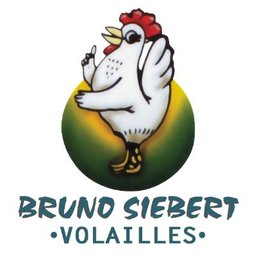 BRUNO SIEBERT S.A