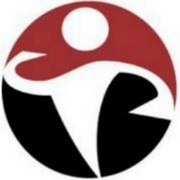 Safety Dynamics Group logo