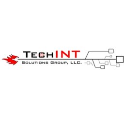 TechINT Solutions Group (TSG) logo