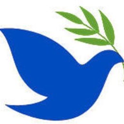 St. John's Health Care P.C. Medicare Division