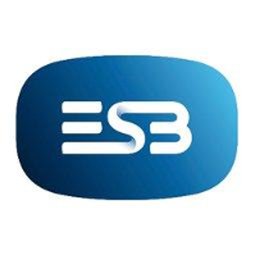 Electricity Supply Board (ESB)