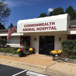 Commonwealth Animal Hospital