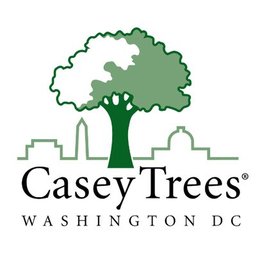 Casey Trees logo