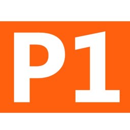 P1 INTERNATIONAL
