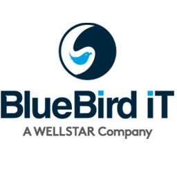 BlueBird IT Solutions Inc logo